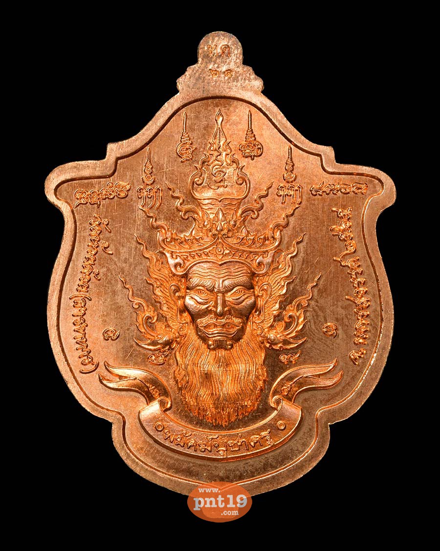 เหรียญพยัคฆ์ บูชาครู 29. ทองแดงผิวส้ม ลงยาดำ หลวงปู่พัฒน์ วัดห้วยด้วน (วัดธารทหาร)