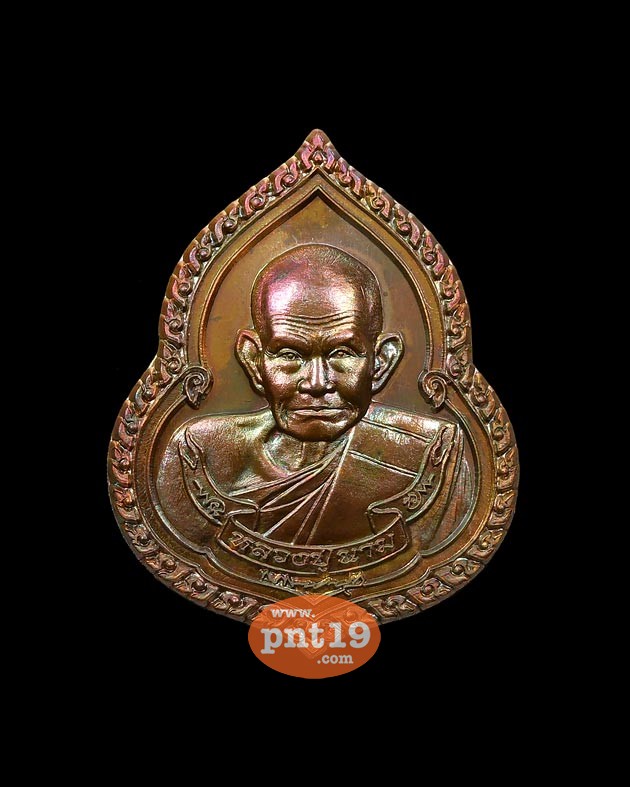 My Image 14