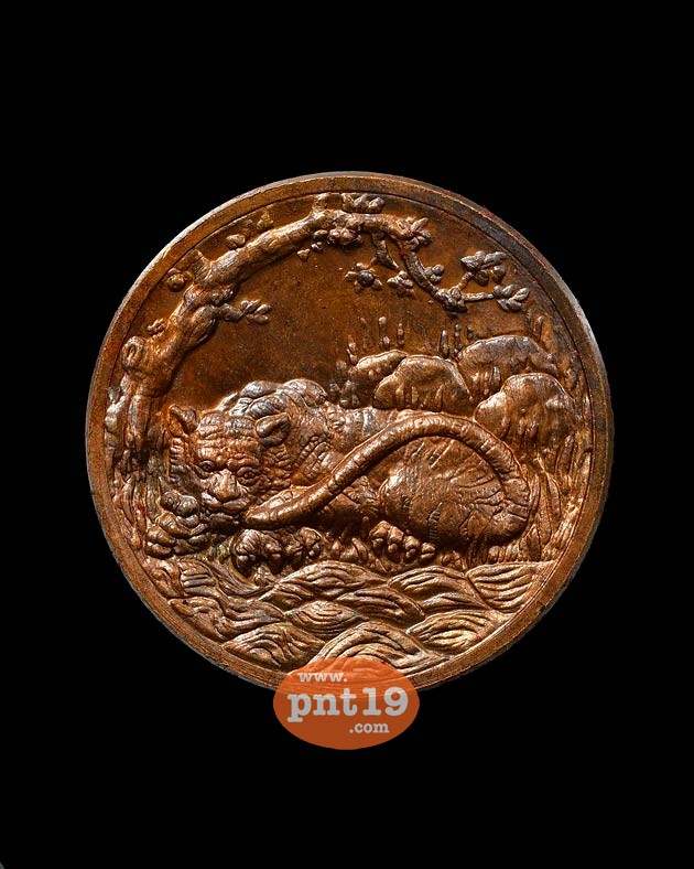 เหรียญพญาเสือเฒ่า 2.7 ซม. เนื้อนวโลหะ พระอาจารย์ประสูติ วัดถ้ำพระพุทธโกษิย์ (ในเตา)