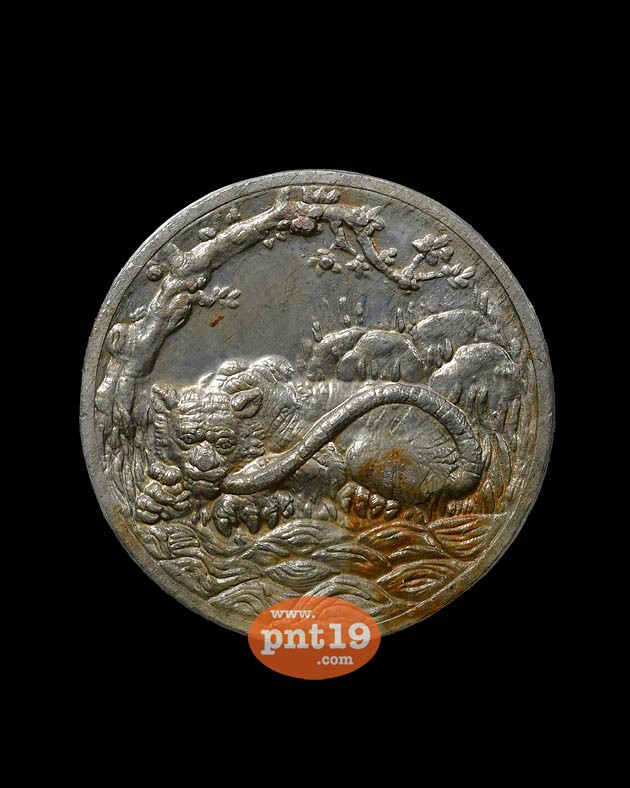 เหรียญพญาเสือเฒ่า 2.7 ซม. เนื้อตะกั่ว พระอาจารย์ประสูติ วัดถ้ำพระพุทธโกษิย์ (ในเตา)