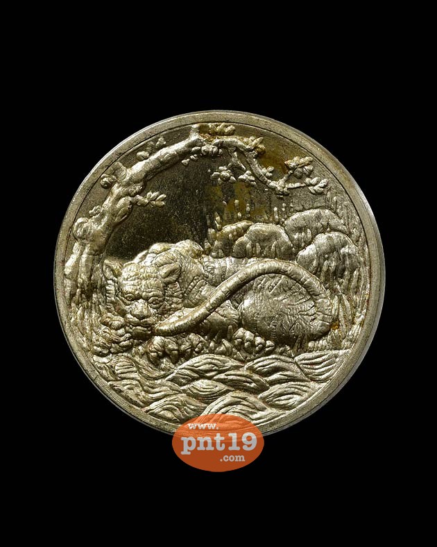 เหรียญพญาเสือเฒ่า 2.7 ซม. เนื้ออัลปาก้า พระอาจารย์ประสูติ วัดถ้ำพระพุทธโกษิย์ (ในเตา)