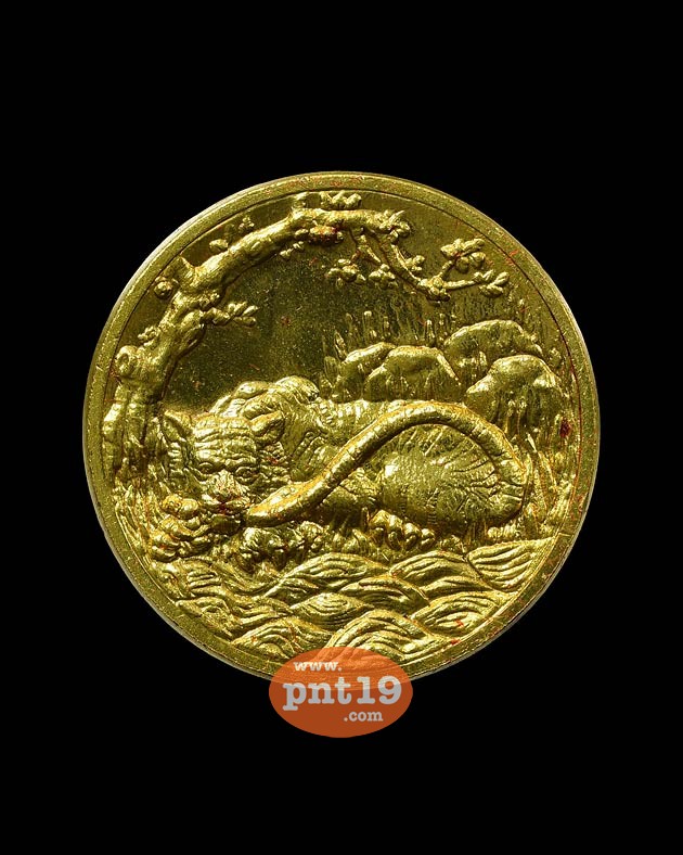เหรียญพญาเสือเฒ่า 2.7 ซม. เนื้อฝาบาตร พระอาจารย์ประสูติ วัดถ้ำพระพุทธโกษิย์ (ในเตา)