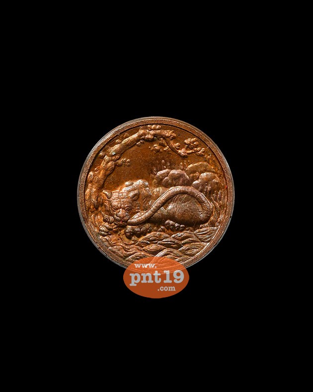 เหรียญพญาเสือเฒ่า 1.5 ซม. เนื้อประกายรุ้ง พระอาจารย์ประสูติ วัดถ้ำพระพุทธโกษิย์ (ในเตา)