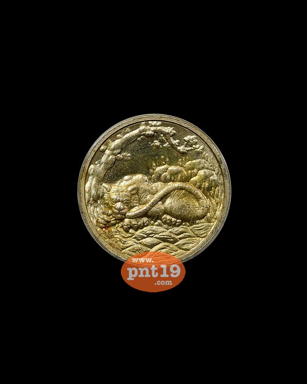 เหรียญพญาเสือเฒ่า 1.5 ซม. เนื้ออัลปาก้า พระอาจารย์ประสูติ วัดถ้ำพระพุทธโกษิย์ (ในเตา)