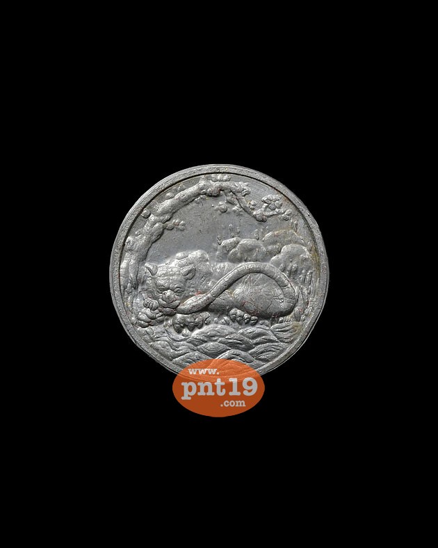 เหรียญพญาเสือเฒ่า 1.5 ซม. เนื้อตะกั่ว พระอาจารย์ประสูติ วัดถ้ำพระพุทธโกษิย์ (ในเตา)