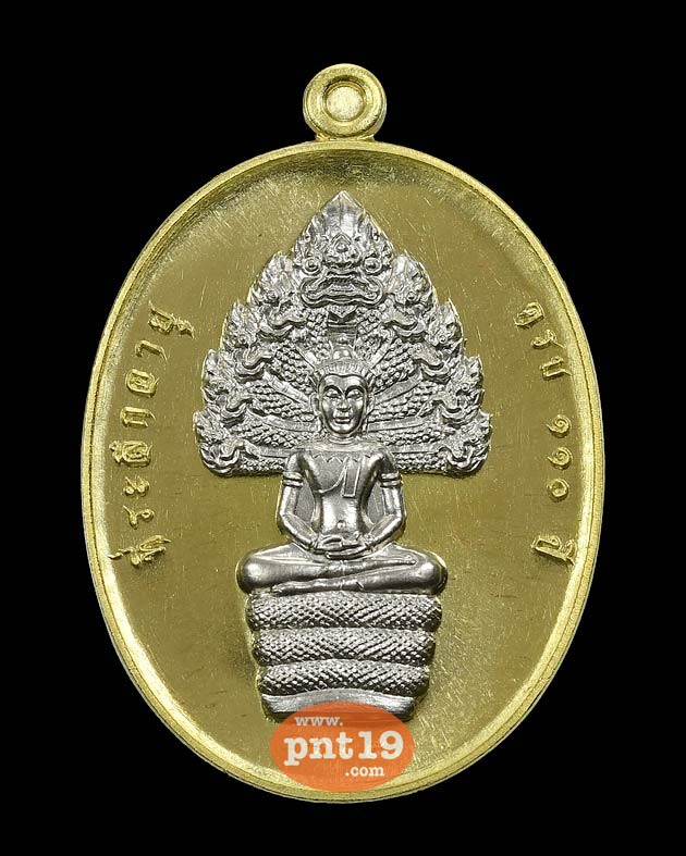 เหรียญนาคปรก รุ่น ที่ระลึกอายุ ๑๑๐ ปี ทองระฆังหน้ากากอัลปาก้า หลวงปู่ทวน วัดโป่งยาง