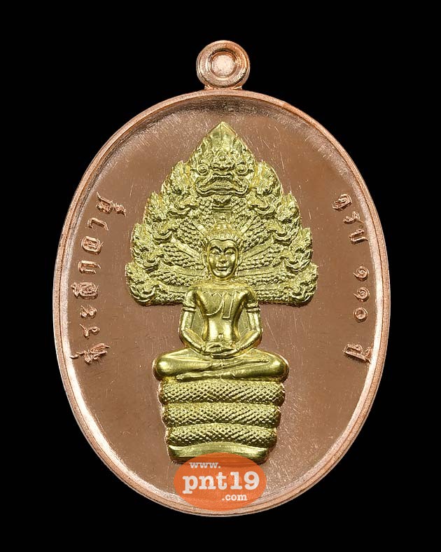 เหรียญนาคปรก รุ่น ที่ระลึกอายุ ๑๑๐ ปี เนื้อทองแดงหน้ากากทองระฆัง หลวงปู่ทวน วัดโป่งยาง
