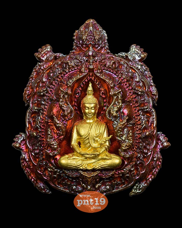 My Image 68