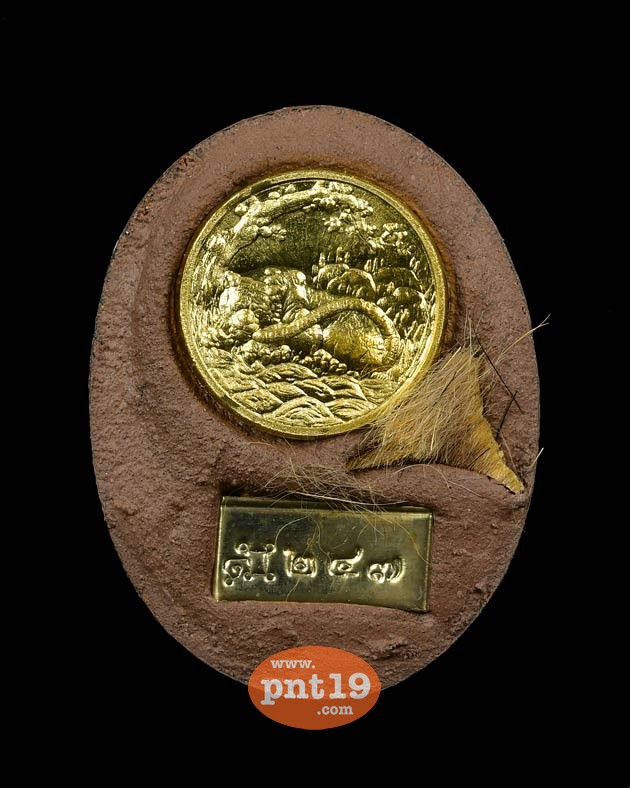 ล็อคเก๊ตฉากลายเสือ หลังเหรียญพญาเสือเฒ่า พระอาจารย์ประสูติ วัดถ้ำพระพุทธโกษิย์ (ในเตา)