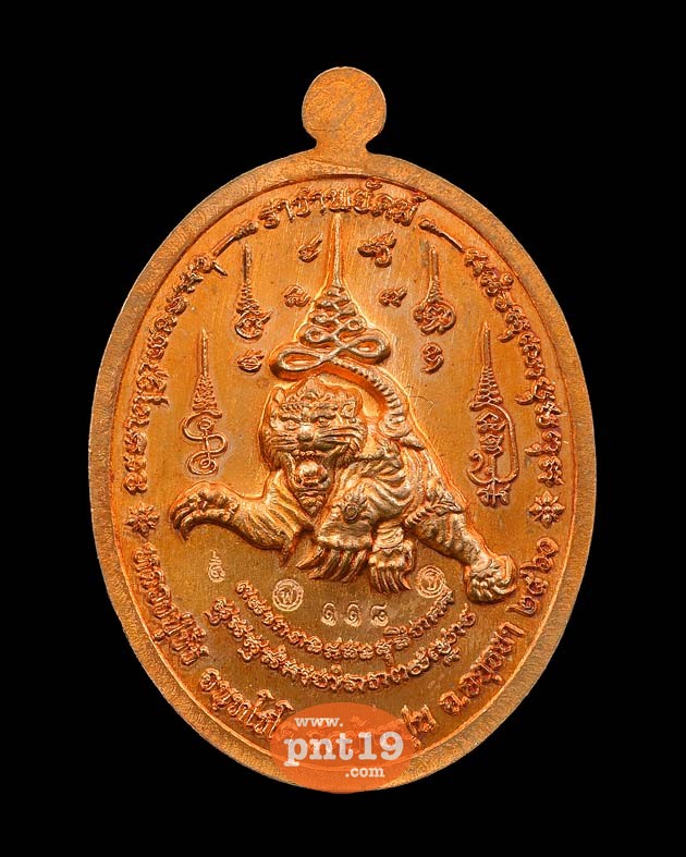 เหรียญราชาพยัคฆ์ เนื้อทองแดงผิวไฟลงยาจีวร หลวงปู่ชัชวาลย์ วัดบ้านปูน