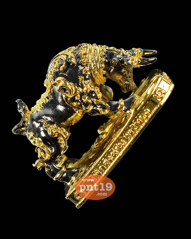 วัวธนู ดำลงทอง หลวงปู่บุญสม ที่พักสงฆ์ร่มโพธิ์ทอง