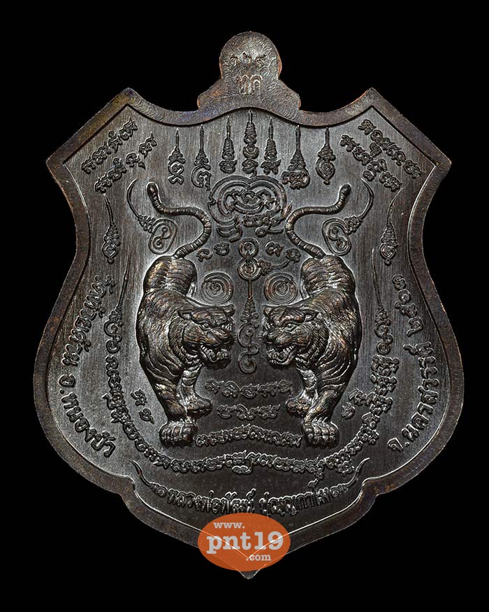 เหรียญพยัคฆ์ปุญฺญกาโม 42. ทองแดงรมดำ ลงยาฟ้า หลวงปู่พัฒน์ วัดห้วยด้วน (วัดธารทหาร)