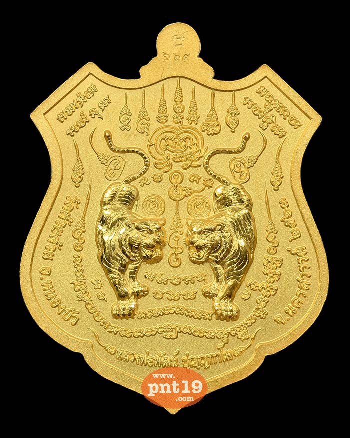 เหรียญพยัคฆ์ปุญฺญกาโม สัมฤทธิ์ชุบทอง พ่นทราย หน้ากากเงิน ลงยาส้ม หลวงปู่พัฒน์ วัดห้วยด้วน (วัดธารทหาร)