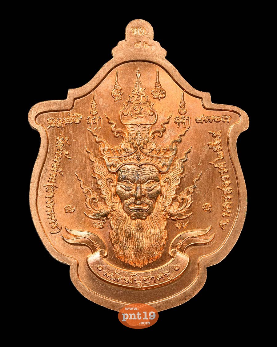 เหรียญพยัคฆ์ บูชาครู 27. ทองแดงผิวส้ม ลงยาม่วง หลวงปู่พัฒน์ วัดห้วยด้วน (วัดธารทหาร)