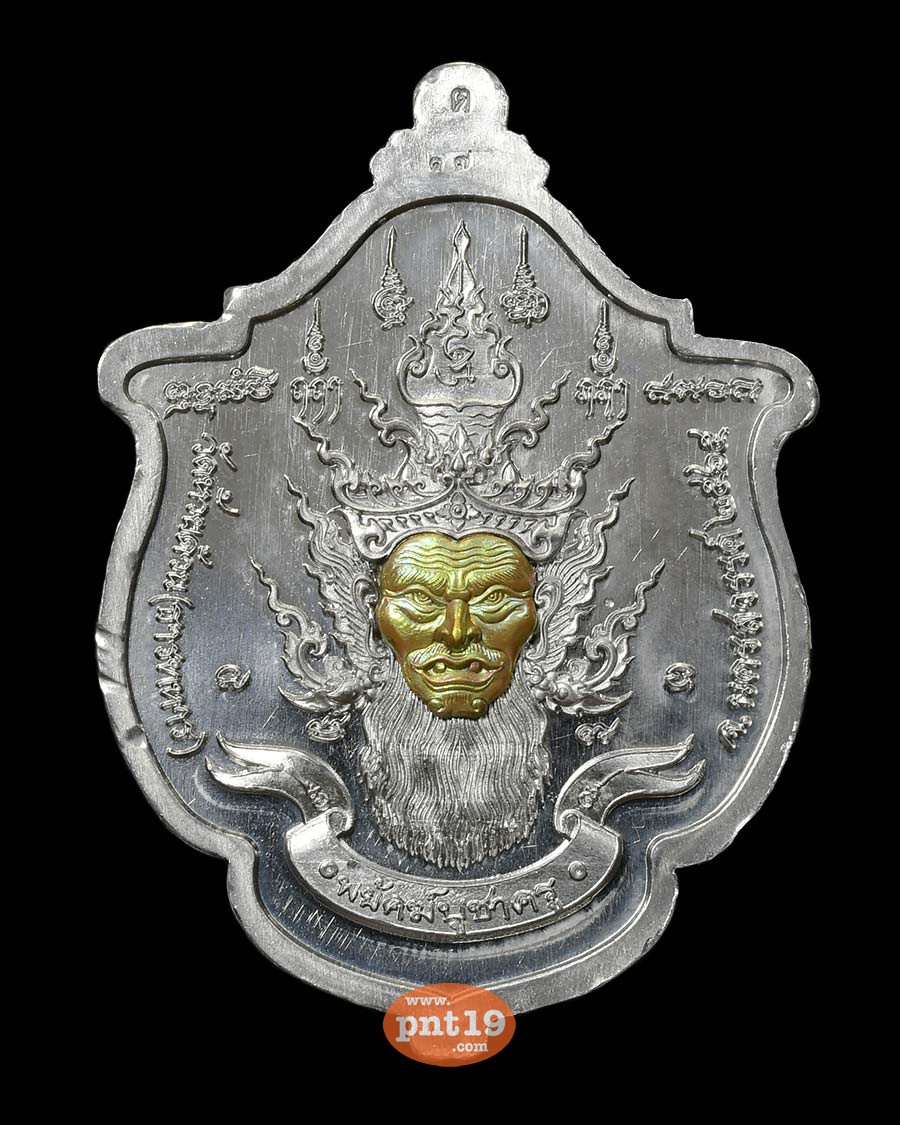 เหรียญพยัคฆ์ บูชาครู 51. ตะกั่วหน้ากากทองทิพย์รุ้ง ลงยาฟ้า หลวงปู่พัฒน์ วัดห้วยด้วน (วัดธารทหาร)